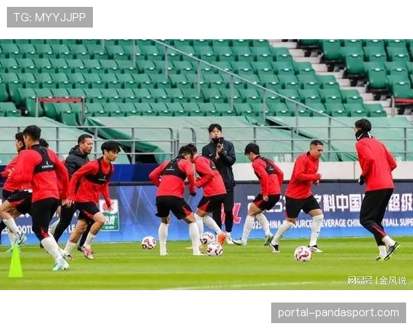 成都蓉城伤病困扰阵容深度不足 影响战术部署与排兵布阵 成都蓉城伤病困扰阵容深度不足 影响战术部署与排兵布阵