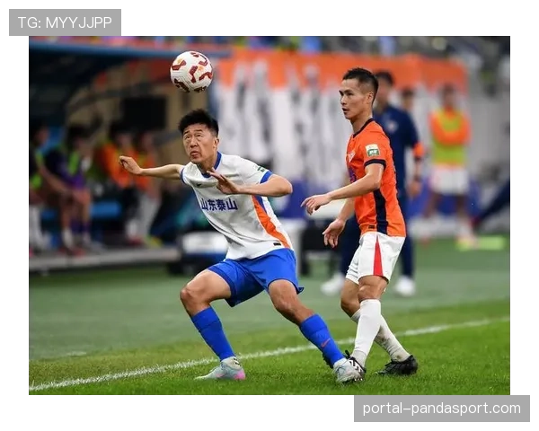 借鉴中超安保经验促进大型体育赛事组织与管理能力提升