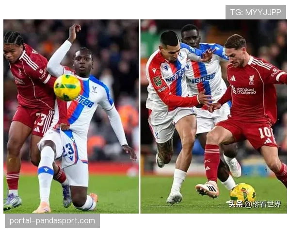 水晶宫球迷因种族歧视被禁赛三年