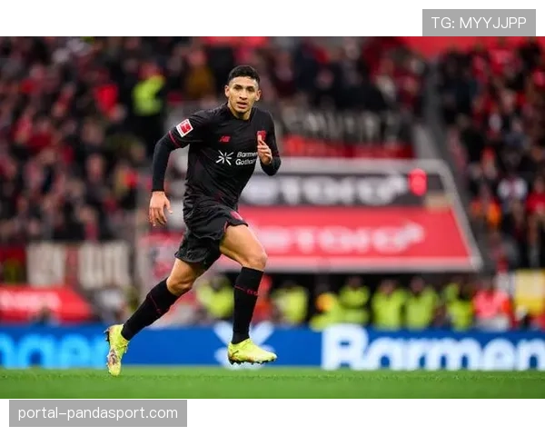 勒沃库森阵中费尔南德斯、帕拉西奥斯等人因伤缺阵 勒沃库森阵中费尔南德斯、帕拉西奥斯等人因伤缺阵