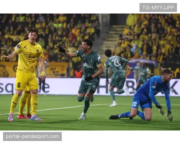 欧足联站席新规引发争议，多特蒙德南看台面临整改压力